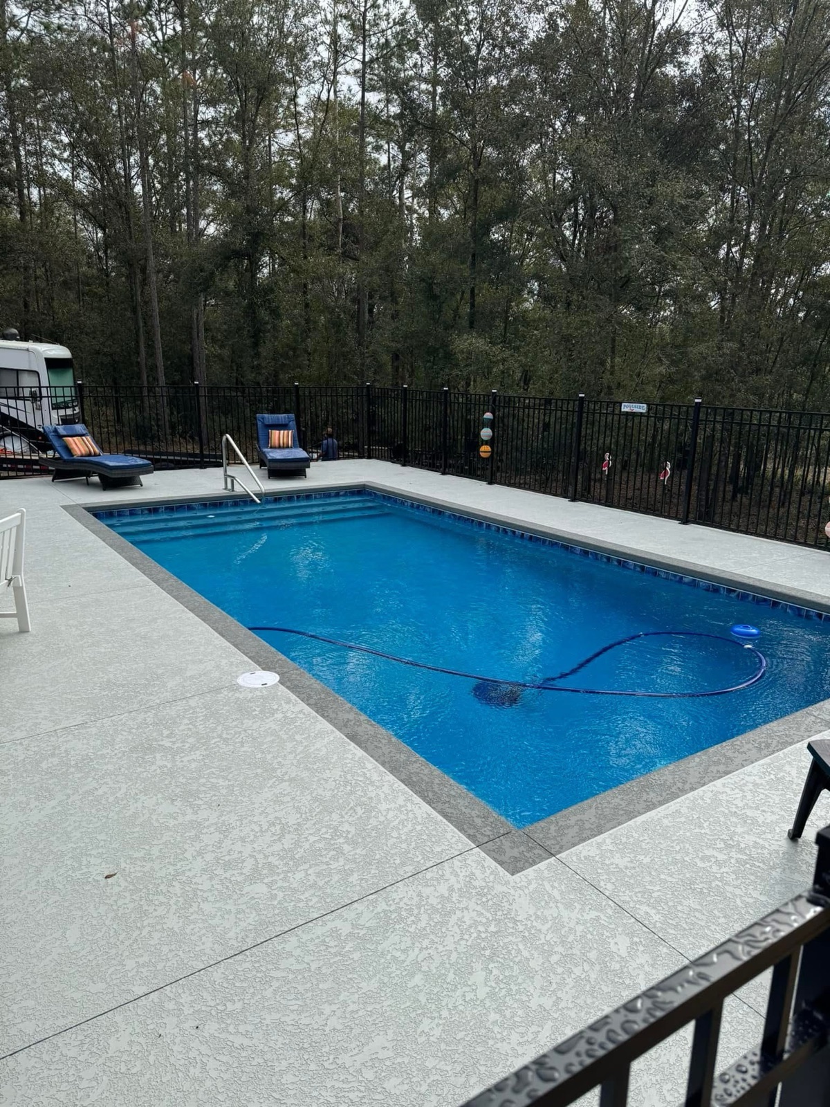 Finished pool beside a wooded Central Florida backyard